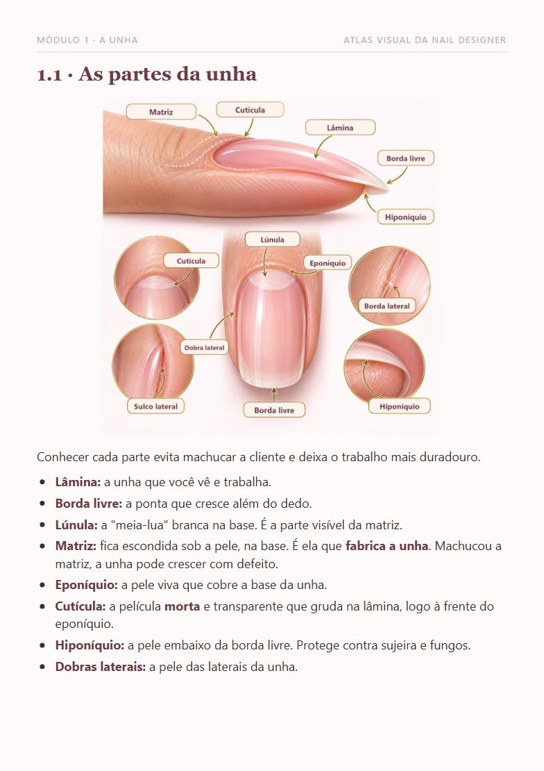 Página 1.1: as partes da unha